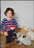 wye niemiecki, spinone italiano