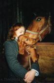 wye niemiecki, spinone italiano