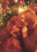 wye niemiecki, spinone italiano