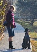 wye niemiecki, spinone italiano