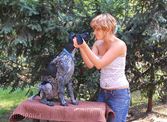 wye niemiecki, spinone italiano