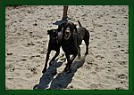 02.05.2009-arkesh-1.jpg