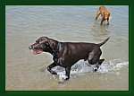 02.05.2009-arkesh-5.jpg