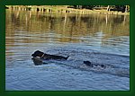 06.09.2009-woda-04.JPG