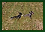 14.08.2009-spacer6.JPG