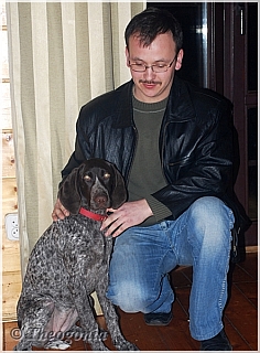 wye niemiecki, spinone italiano