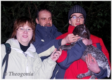 wye niemiecki, spinone italiano