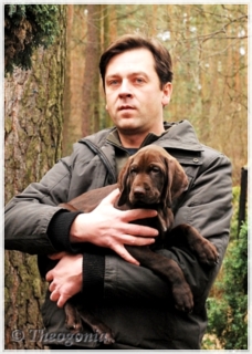 wye niemiecki, spinone italiano