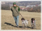wye niemiecki, spinone italiano