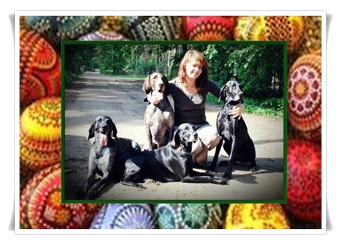 wye niemiecki, spinone italiano