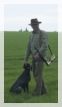 wye niemiecki, spinone italiano