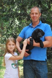 wye niemiecki, spinone italiano
