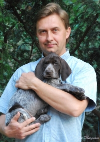 wye niemiecki, spinone italiano