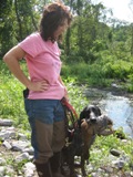 wye niemiecki, spinone italiano