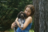 wye niemiecki, spinone italiano