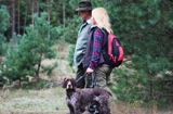 wye niemiecki, spinone italiano