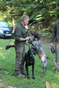 wye niemiecki, spinone italiano