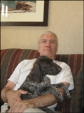 wye niemiecki, spinone italiano