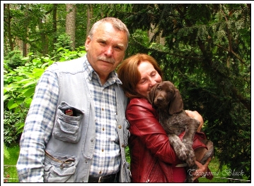 wye niemiecki, spinone italiano
