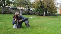 wye niemiecki, spinone italiano