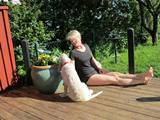 wye niemiecki, spinone italiano